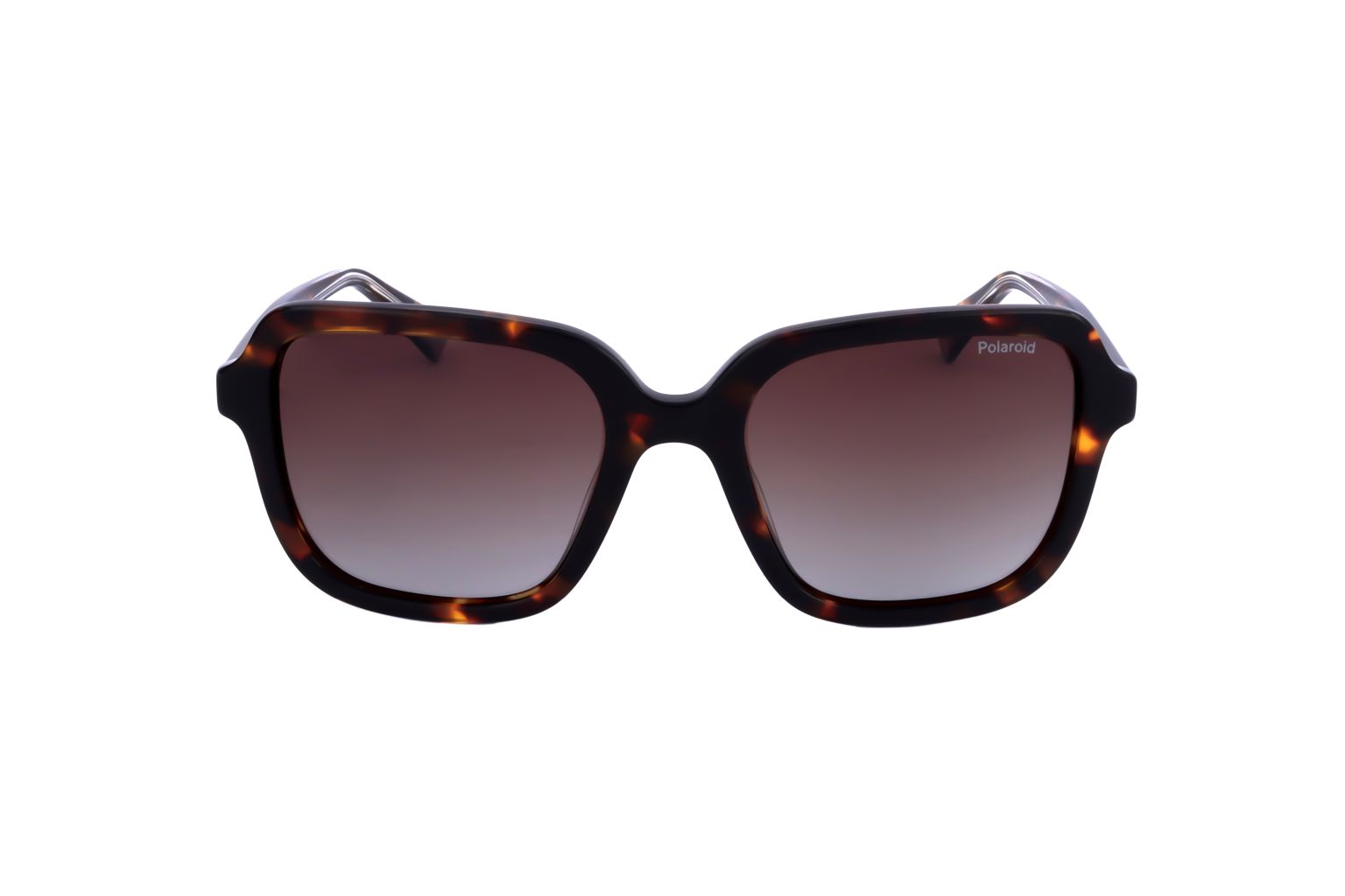 POLAROID - SUN PLD 4095 S X 086 53 19 145
