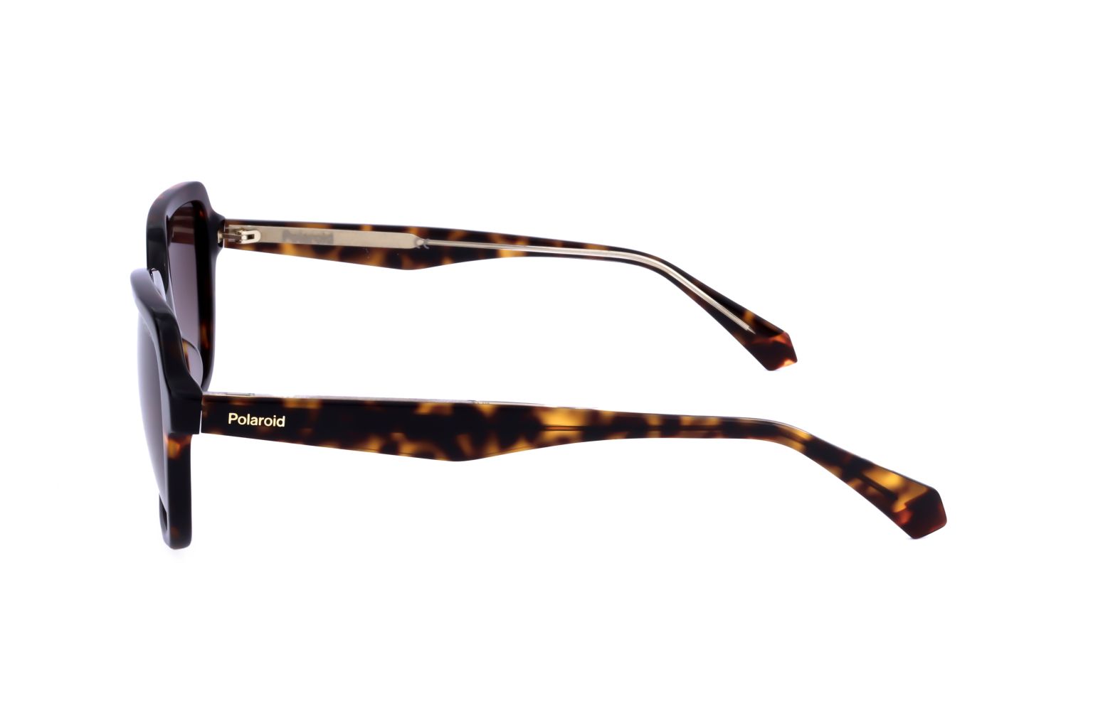 POLAROID - SUN PLD 4095 SX 086 53 19 145-3