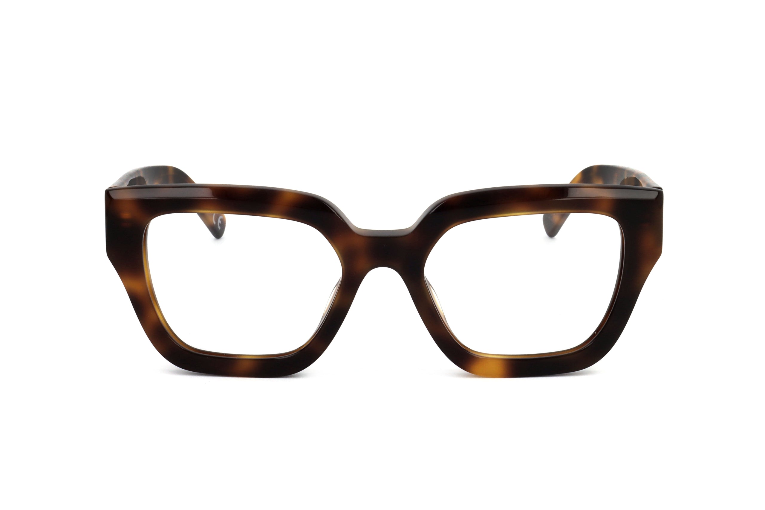 MARNI - FRAME HALLERBOS FOREST HAVANA 53 20 145