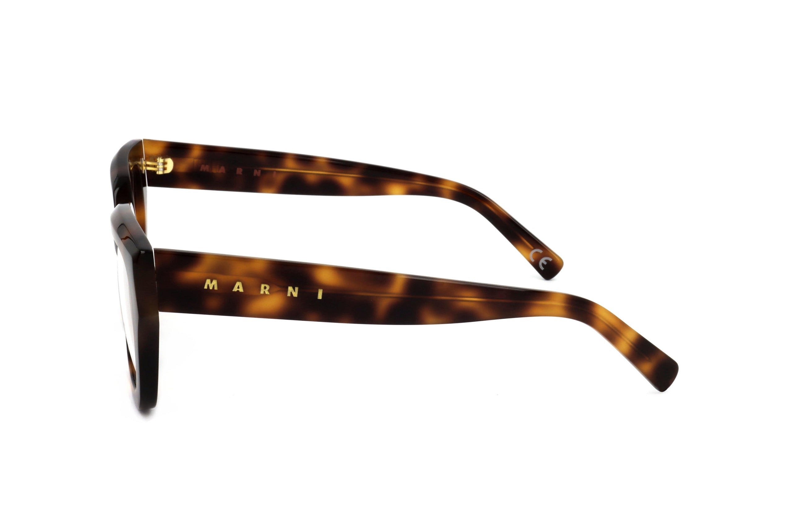 MARNI - FRAME HALLERBOS FOREST HAVANA 53 20 145-3